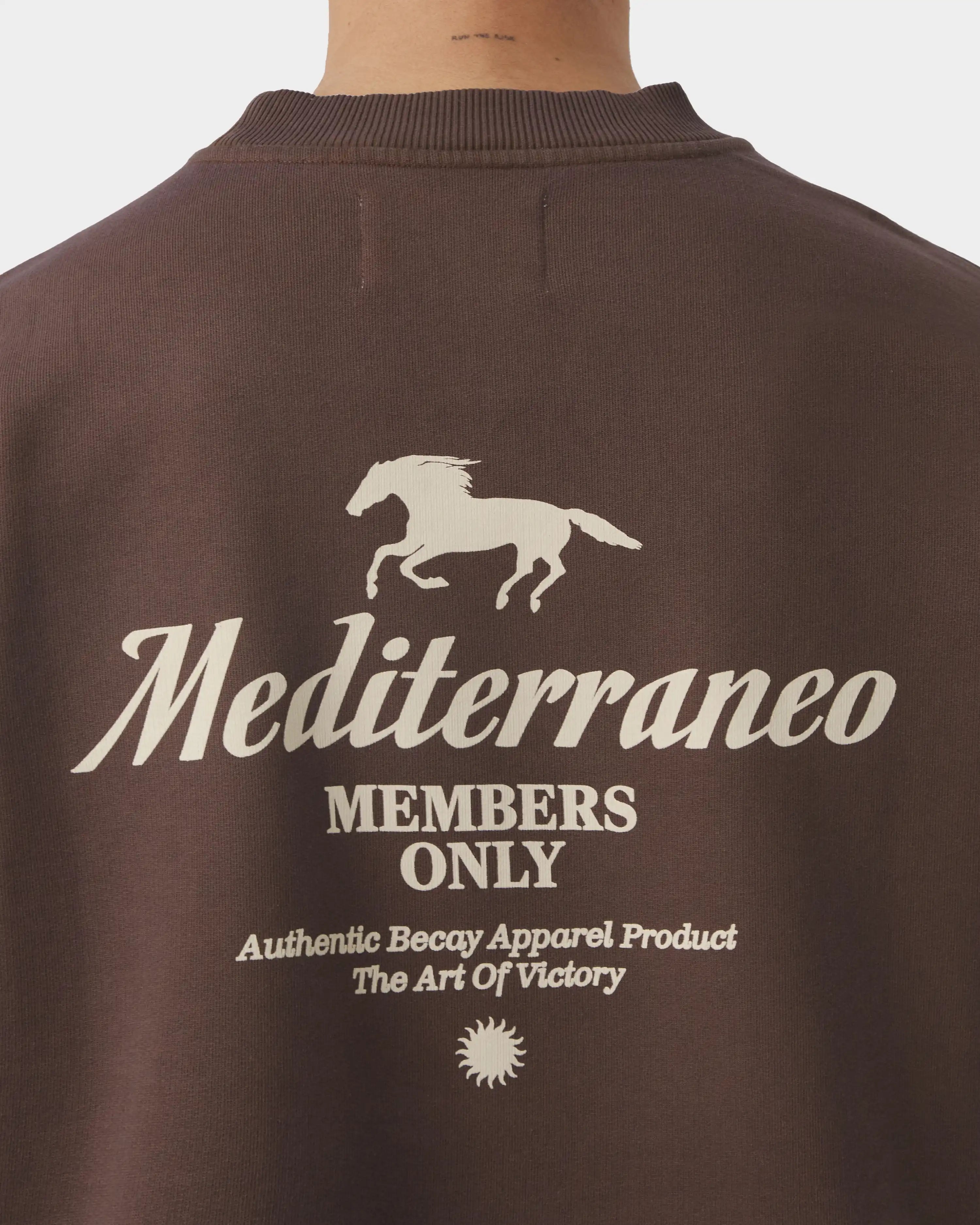 Race Track Crewneck Brown