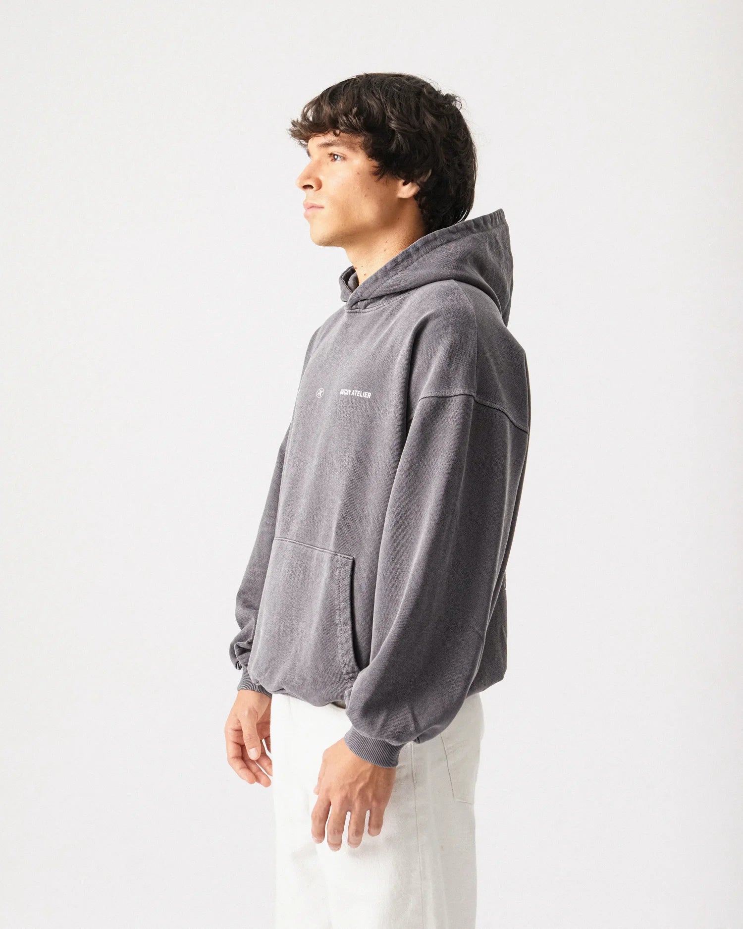 Insignia Hoodie Gray